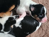 Enlarge photo 22