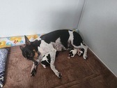 Enlarge photo 27