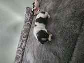 Enlarge photo 2