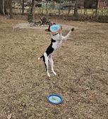 Enlarge photo 7