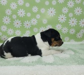 Enlarge photo 8