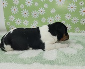 Enlarge photo 7
