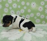 Enlarge photo 6