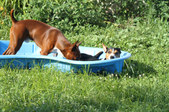 Enlarge photo 24
