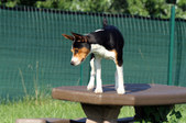 Enlarge photo 22