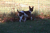 Enlarge photo 20