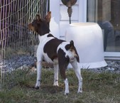 Enlarge photo 19