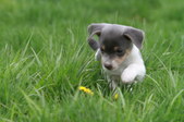 Enlarge photo 23