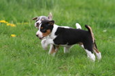 Enlarge photo 16