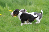 Enlarge photo 15