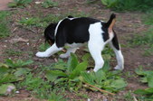 Enlarge photo 8