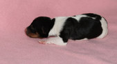 Enlarge photo 15