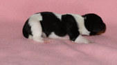 Enlarge photo 14