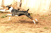 Enlarge photo 5
