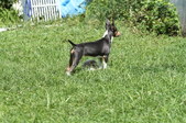 Enlarge photo 22