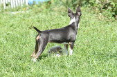 Enlarge photo 24