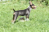 Enlarge photo 23