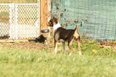 Enlarge photo 18
