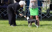 Enlarge photo 21