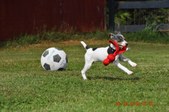 Enlarge photo 12