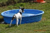 Enlarge photo 13