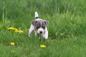 Enlarge photo 23