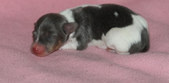 Enlarge photo 9