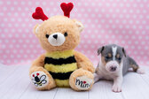Enlarge photo 13