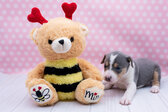 Enlarge photo 12