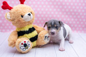 Enlarge photo 9
