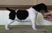 Enlarge photo 19