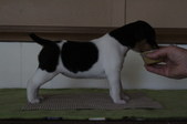 Enlarge photo 21