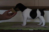 Enlarge photo 20