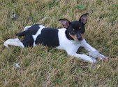 <b>Darla</b>