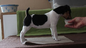 Enlarge photo 10