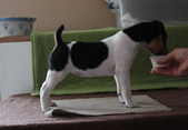 Enlarge photo 8