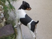Enlarge photo 6