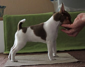 Enlarge photo 5