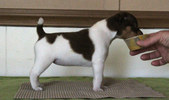Enlarge photo 15