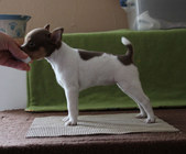 Enlarge photo 4