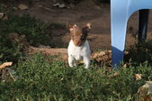 Enlarge photo 14