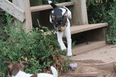 Enlarge photo 23