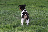 Enlarge photo 13