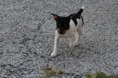 Enlarge photo 24
