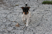 Enlarge photo 17