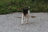 Enlarge photo 18
