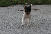 Enlarge photo 19