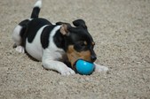 Enlarge photo 10