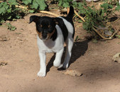 Enlarge photo 12