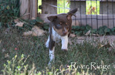 Enlarge photo 10